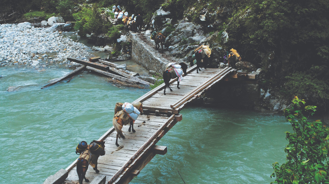 Jomolhari Trek  